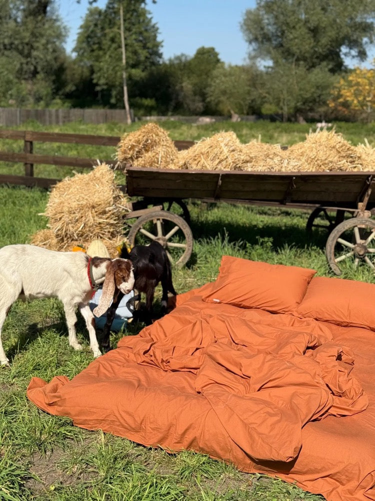 Cinnamon Cotton Fitted Sheet Set and PillowCases, Fall Cozy Bedding, 100% Cotton Bed Sheet Set